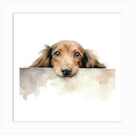 Dachshund Dog 2 Art Print