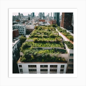 Green Roof In New York City Art Print