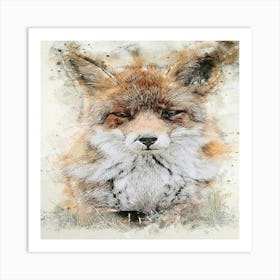 Red Fox Art Print