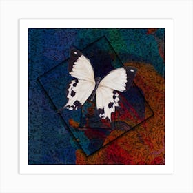 Butterfly Art Print