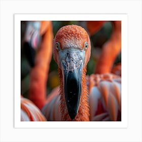 Flamingos 16 Art Print