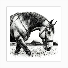 Horse In The Field 3 Art Print