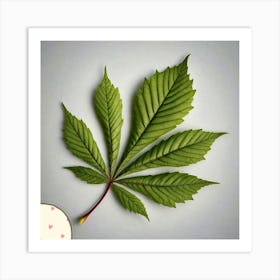 Chestnut leaf 1 Art Print