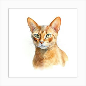 Abyssinian Cat Portrait 2 Art Print