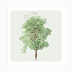 Tree Art 2 Art Print