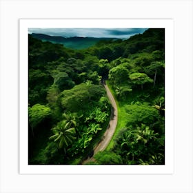 Road In The Jungle Art Print