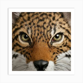 Cheetah Art Print