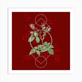 Vintage Evrat's Rose with Crimson Buds Botanical with Geometric Line Motif and Dot Pattern n.0024 Art Print