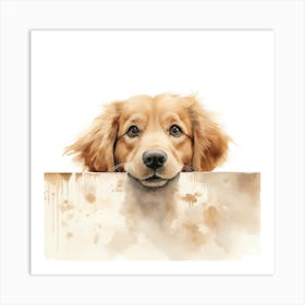 Golden Retriever 6 Art Print