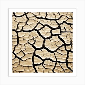 Cracked Dry Land 1 Art Print