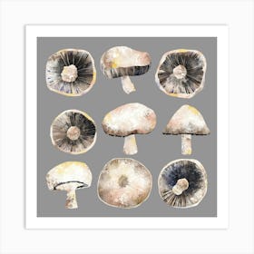 Mushrooms Art Print