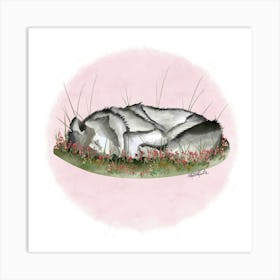 Wolf / Loup  Art Print