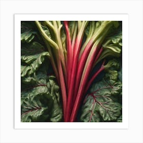 Rhubarb 127 Art Print