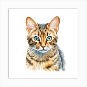 Cashmere Bengal Cat Portrait Art Print