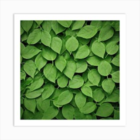 Green Leaves 3 Art Print