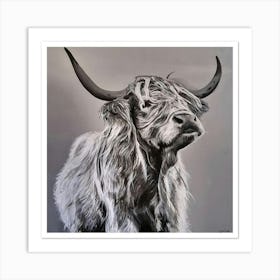 Highland coo Art Print