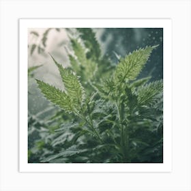 Cannabis Plant Art Print