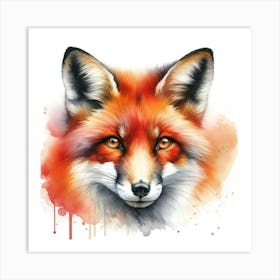 Red Fox Art Print