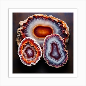 Agate Slices 2 Art Print