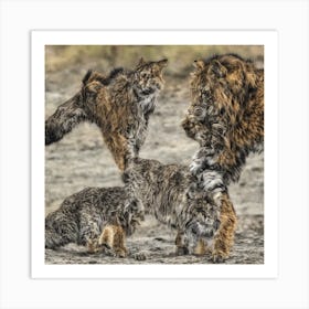 Lynx Fighting Art Print