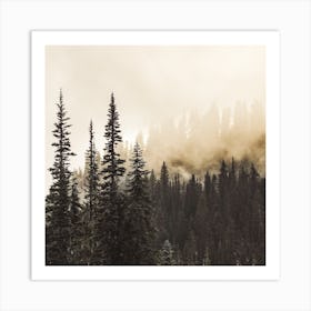 Forest Fire Smoke Square Art Print