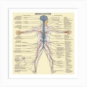 Nervous System 1 Art Print