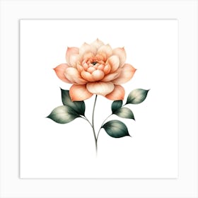 Peach Lotus Flower Art Print