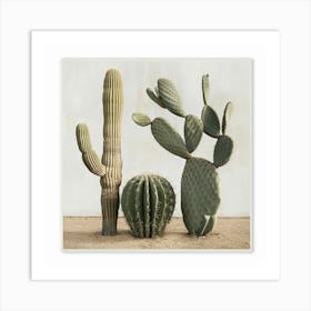 Cactus Trio Art Print