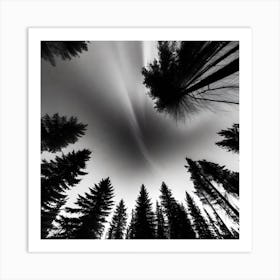 Sky Above The Trees Art Print