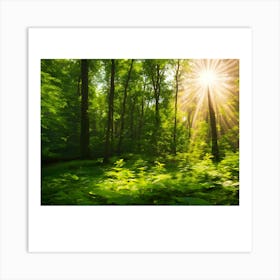 Sun In The Forest Art Print