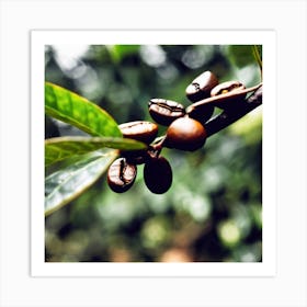 Coffee Beans On The Tree Art Print