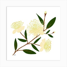 Eucalyptus Art Print