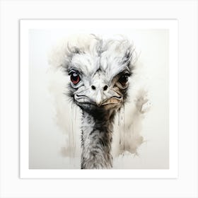 Ostrich 1 Art Print