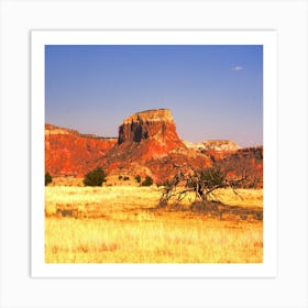 Gost Ranchcolor Art Print