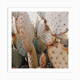 Cactus Plant Square Art Print