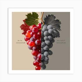 Grapes And Leaves Art Print