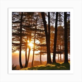 Sunrise In The Forest 38 Art Print