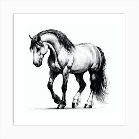 Black And White Horse Drawing Art Print