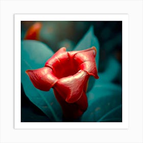 Flower 4 Art Print