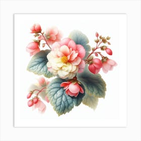 Flower of Begonia 1 Art Print