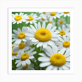 Daisy Flower On Green Background Art Print