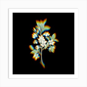 Prism Shift White Plum Flower Botanical Illustration on Black n.0344 Art Print