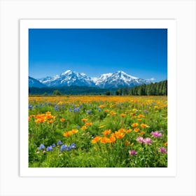 Montana Wildflowers Art Print