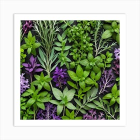 Top View Of Herbs On A Black Background Art Print