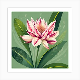 Lotus Flower 9 Art Print