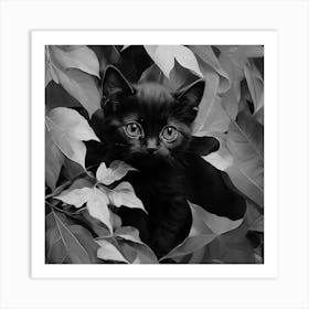 Black and White Black Cat In Leaves 3 Art Print
