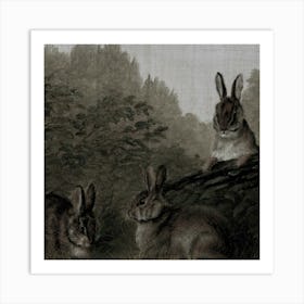 Rabbits In The Woods Art Print