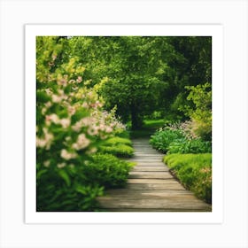 Path In The Garden Art Print