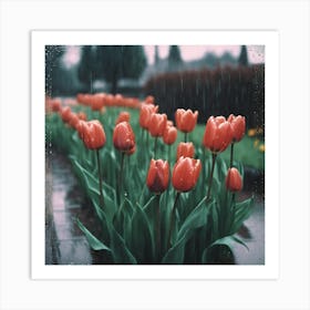 Tulips In The Rain Art Print