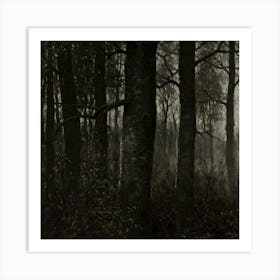 Dark Forest At Night Art Print